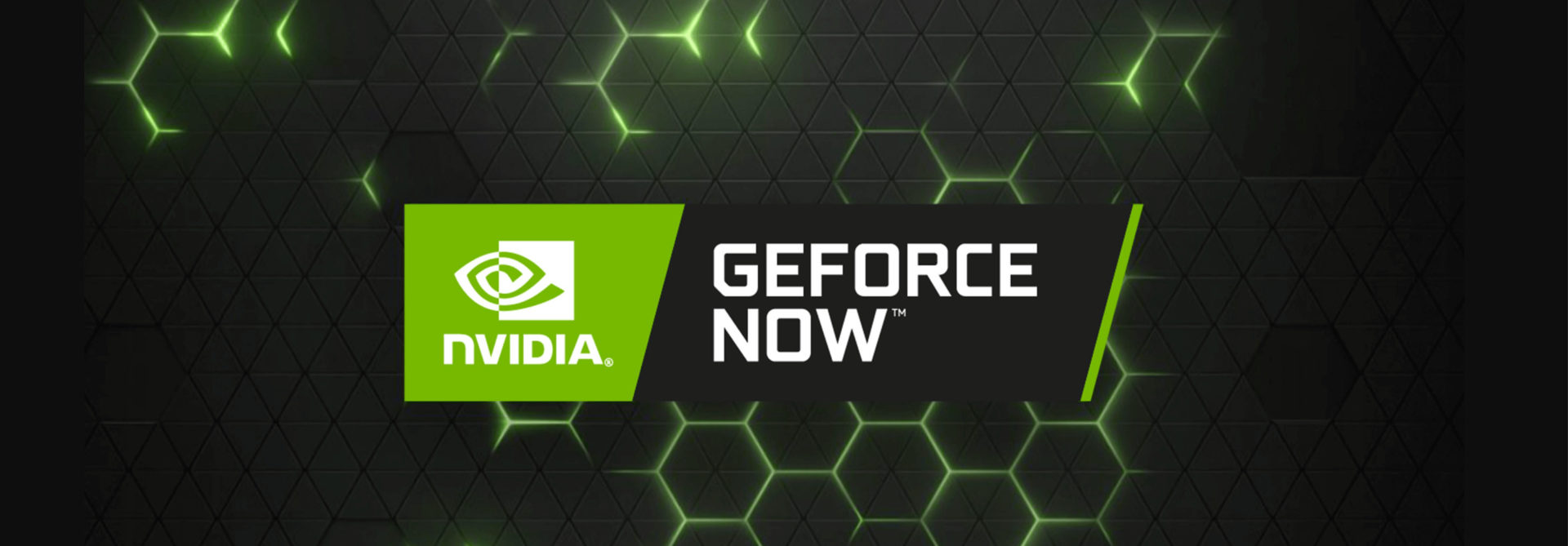 Лучшая видеокарта Nvidia в 2024 году